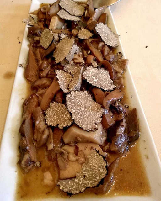 Restaurante Asador Caracoles Lerma Micología Setas hongos