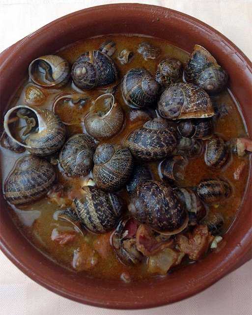 Restaurante Asador Caracoles Lerma caracoles tapa