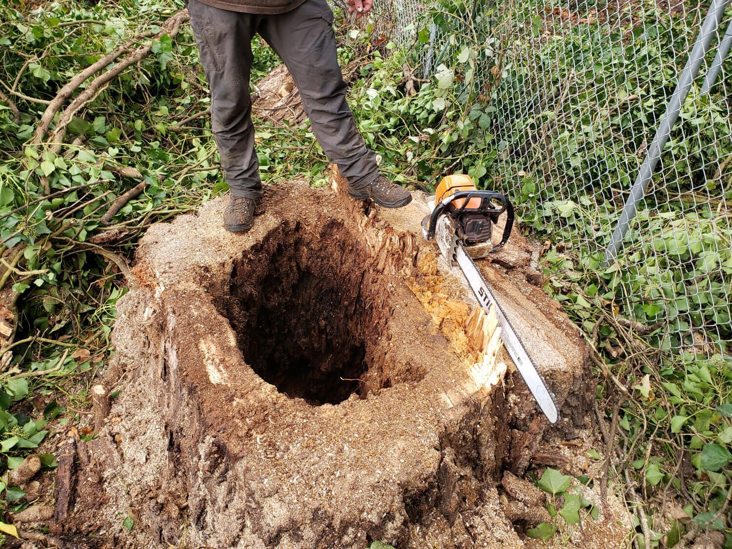 habitat pole creation, wildlife snag creation
