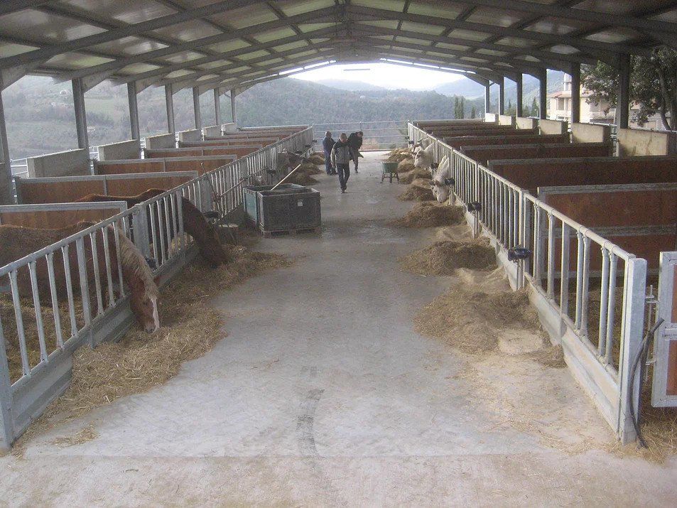 Stalla personalizzata