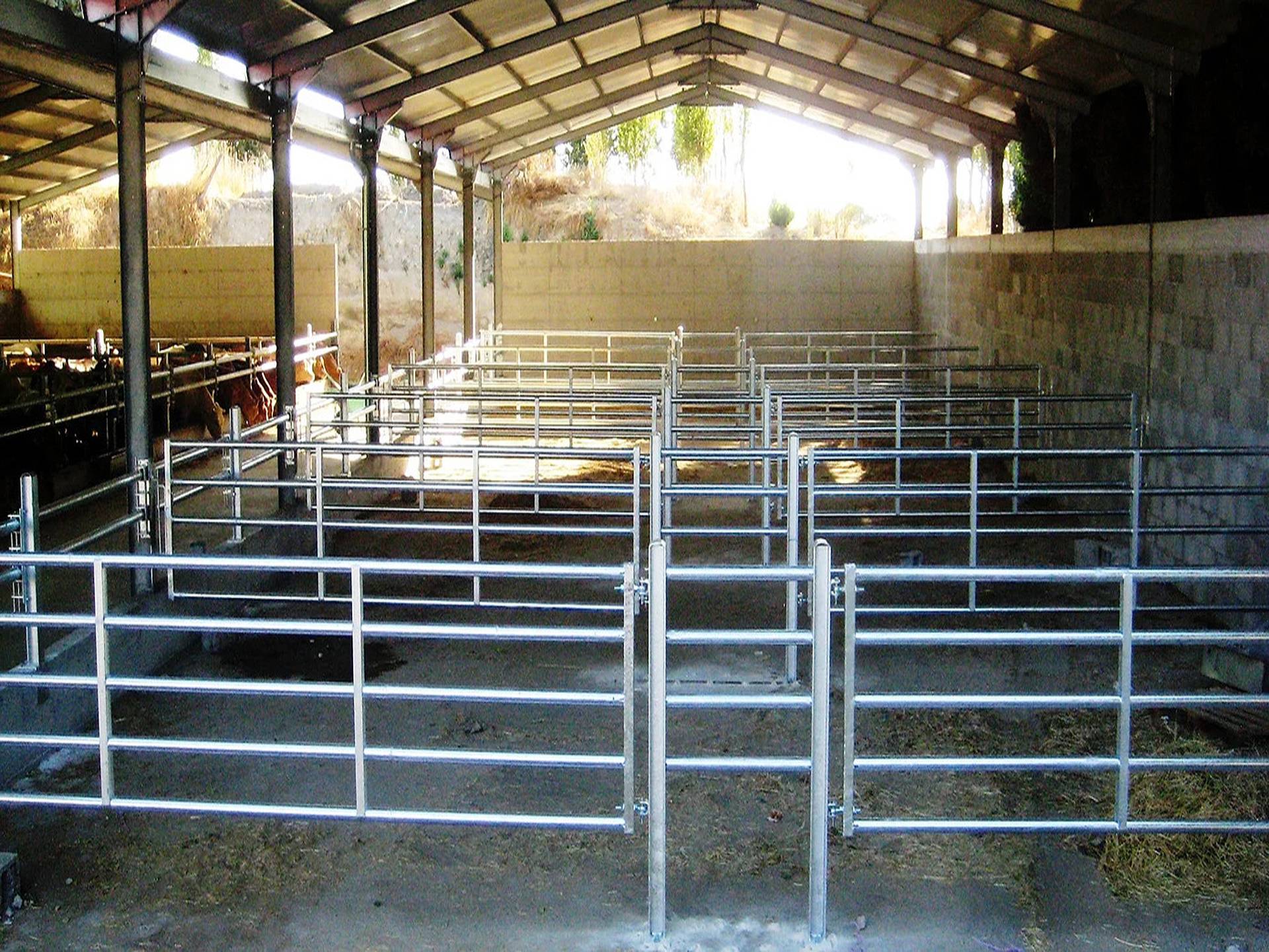 Attrezzatura e strutture stalla