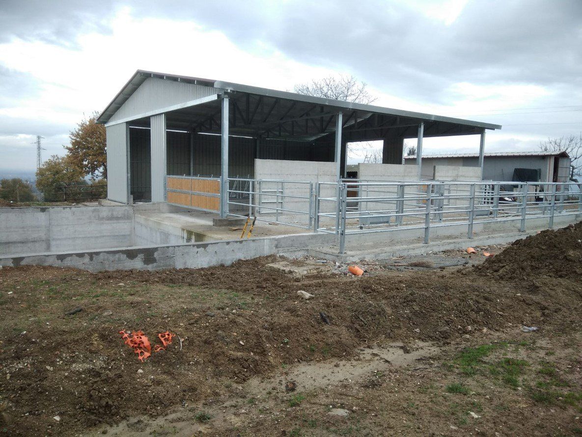 Struttura per animali