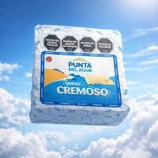 Queso Cremoso Punta del AGUA
