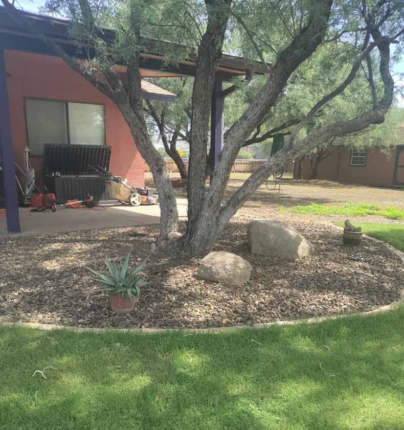 camp verde landscaping around tree and patio