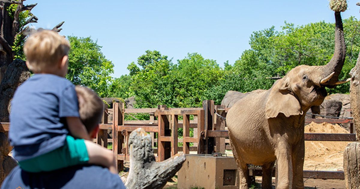 Knoxville Zoo