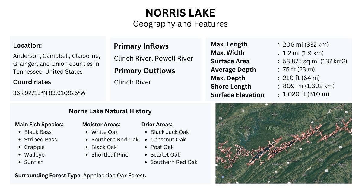 Norris Lake Geography and Features