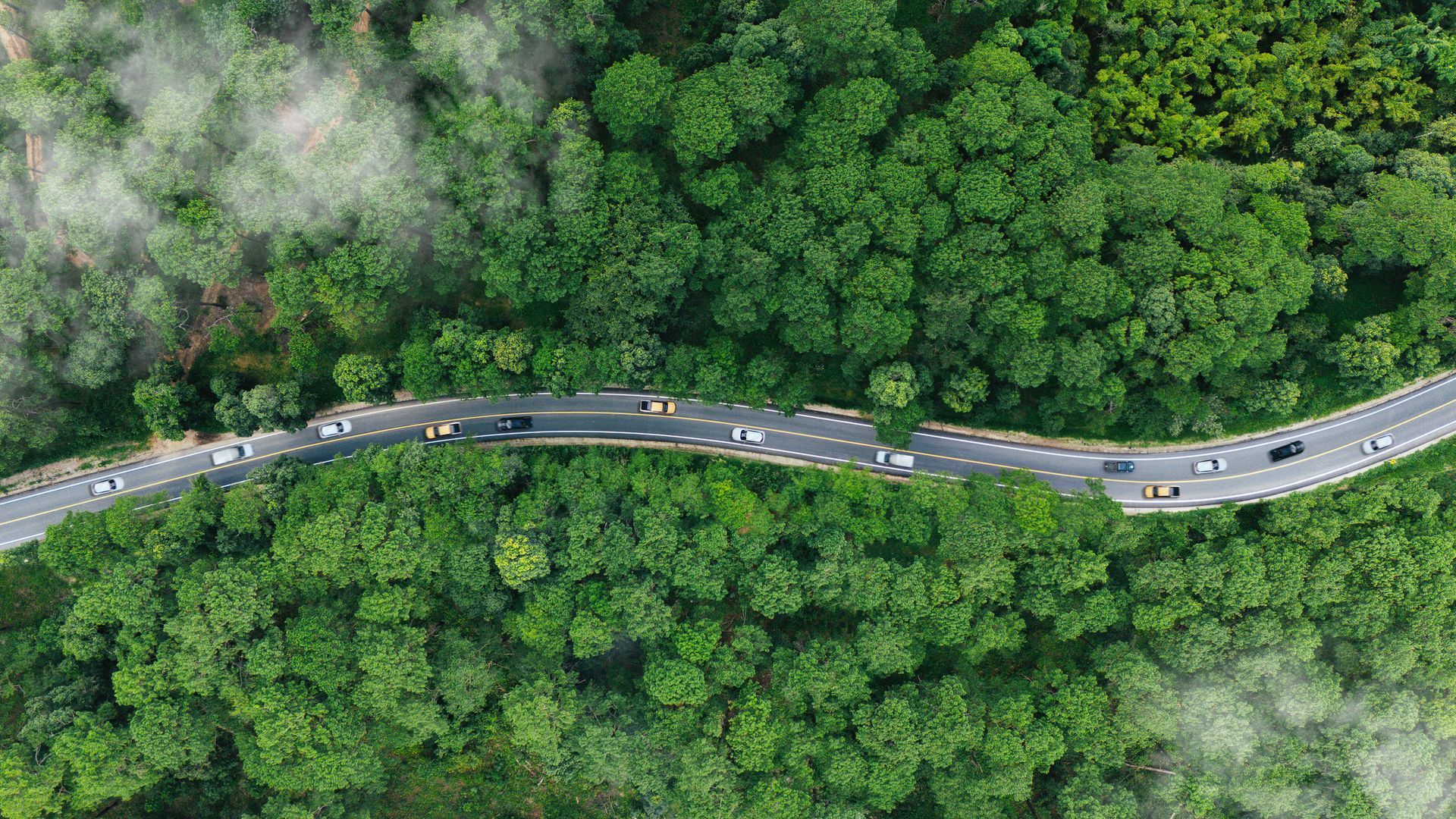 Strada tortuosa con auto che attraversano una fitta foresta verde; nuvole basse o nebbia.
