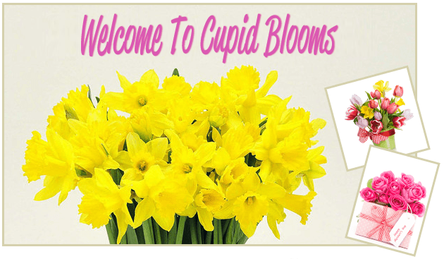  Welcome To Cupid Booms