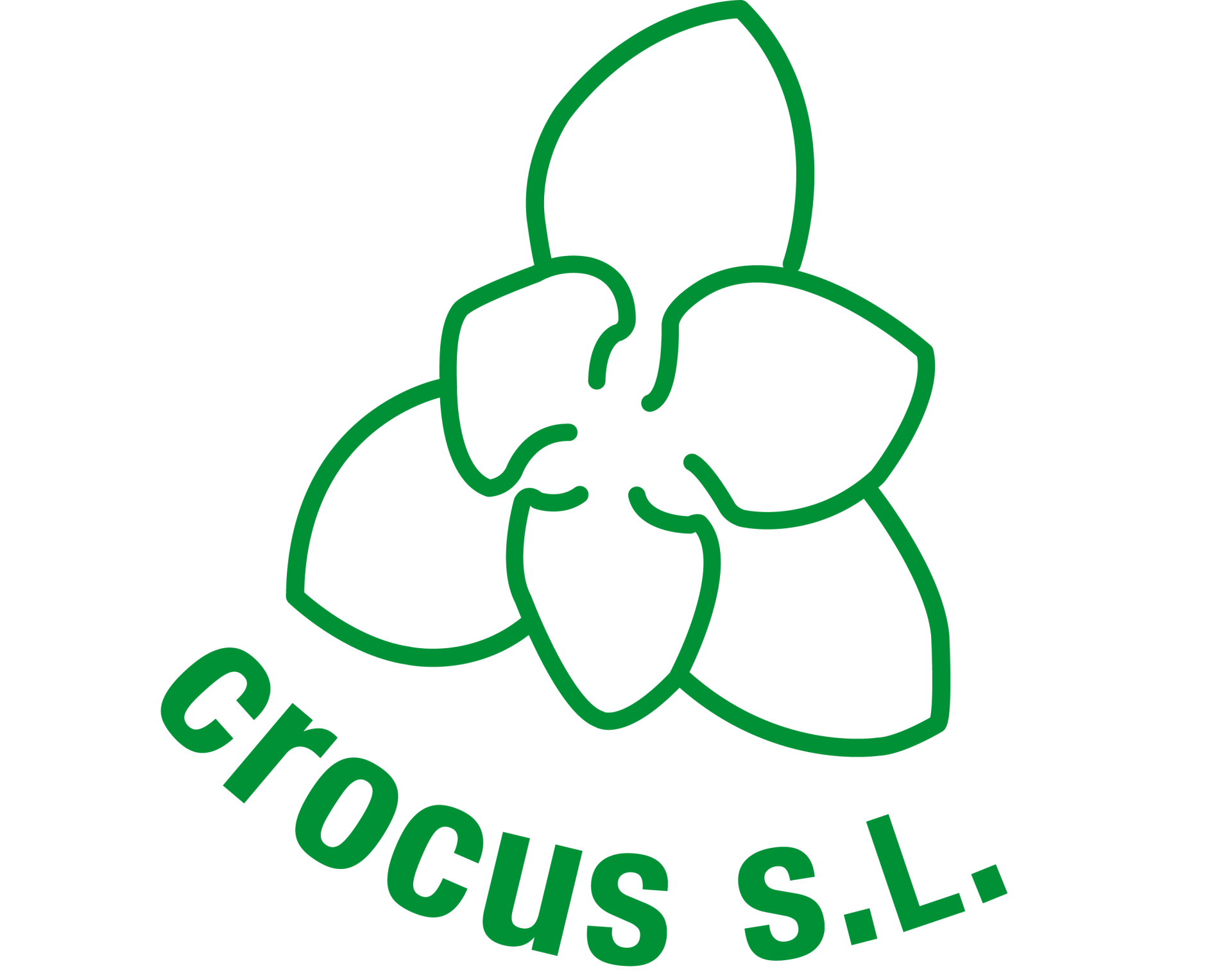 Crocus técnicos consultores, S. L.