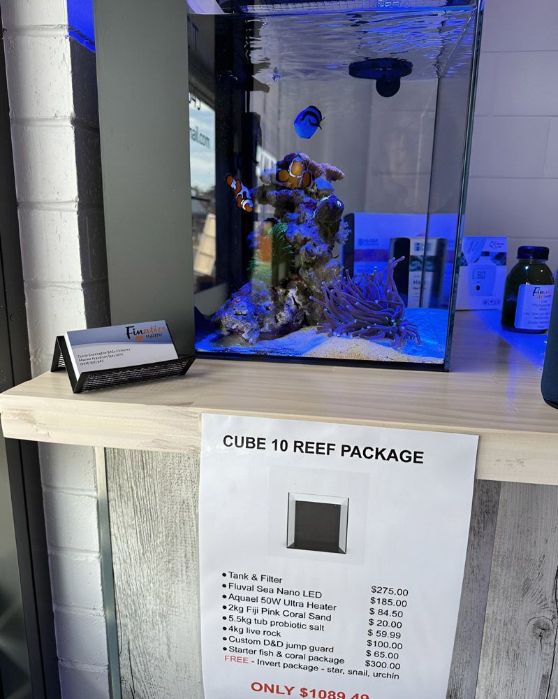 A Truck is Parked on a Gravel Road Next to a Body of Water — Finatics Marine in Macquarie, NSW