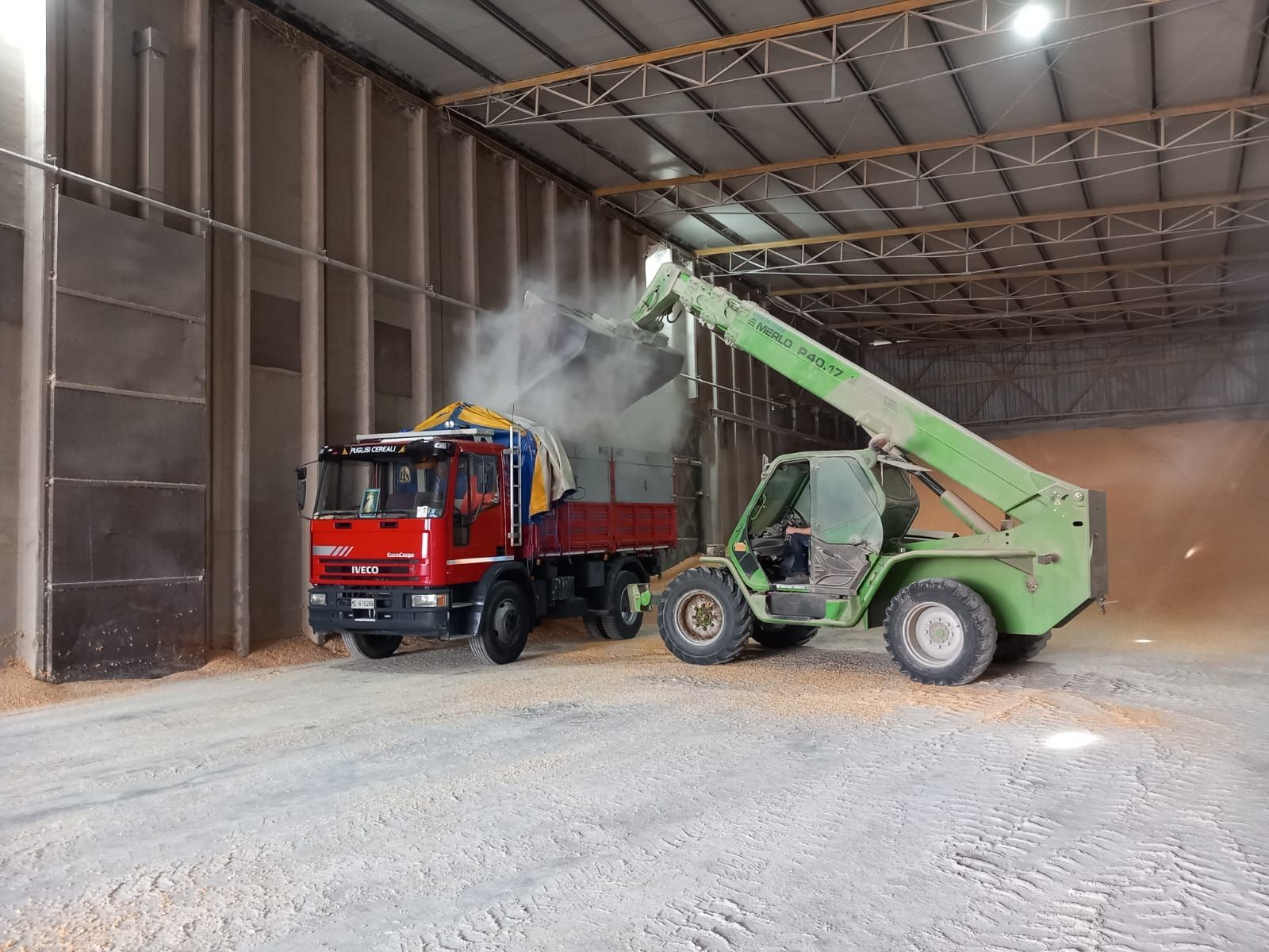 Un sollevatore telescopico verde carica grano sfuso nel cassone di un camion rosso all'interno di un grande magazzino industriale.