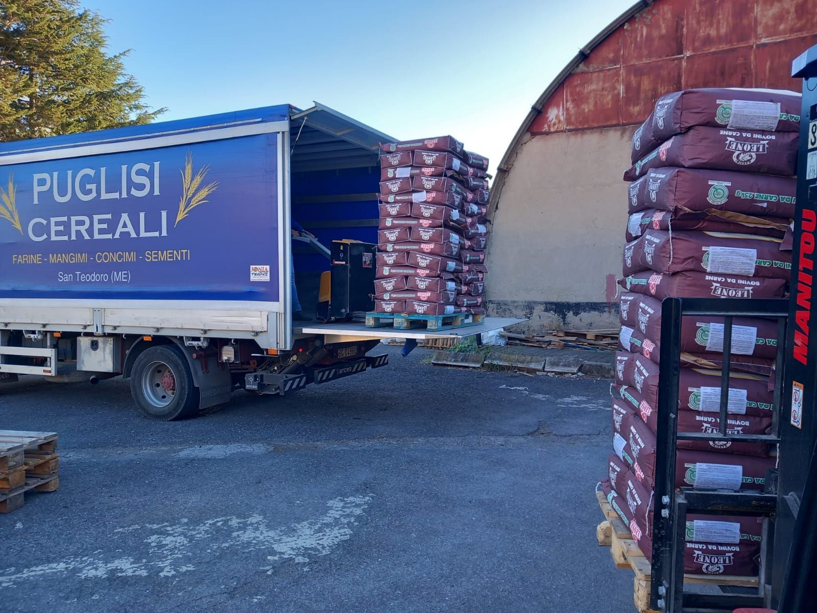 Un camion della Puglisi Cereali viene caricato con pallet di sacchi di grano, mentre in primo piano si vede un carrello elevatore che ne trasporta una pila.