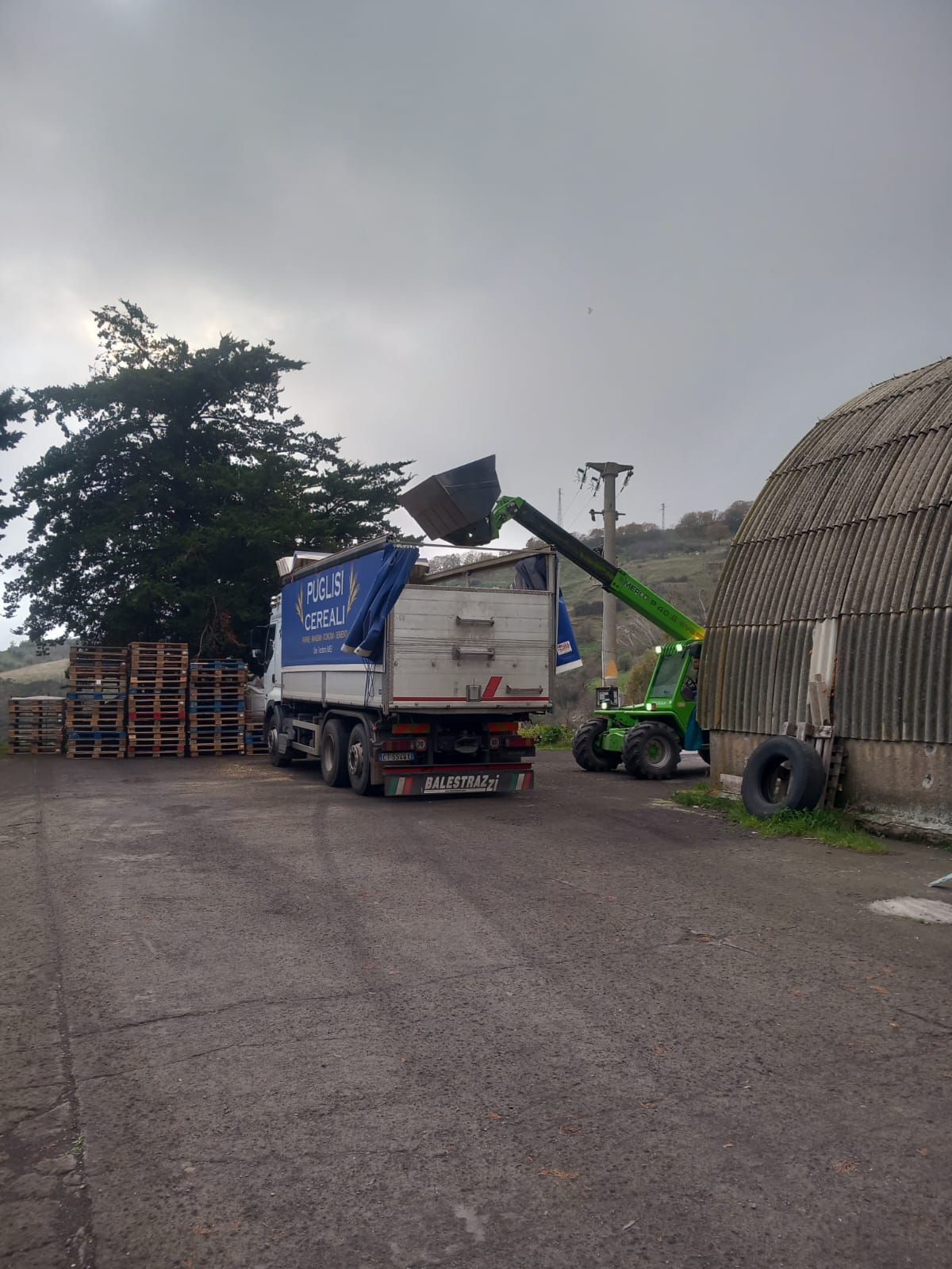 Un sollevatore telescopico verde carica un camion bianco accanto a una pila di pallet di legno e a una grande struttura in cartone ondulato.
