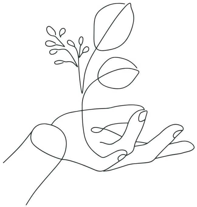 Hand holding a plant with leaves and small flowers. Black line drawing on white.