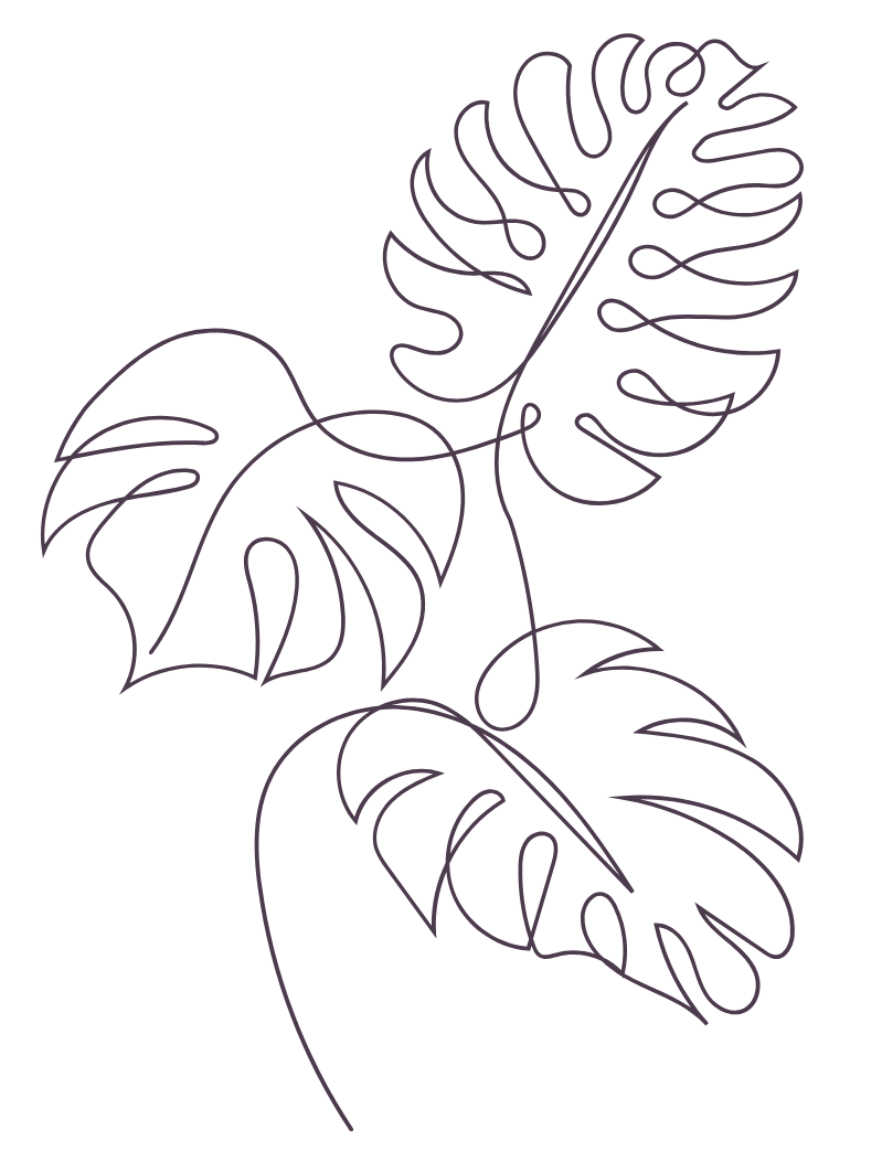 Line drawing of three Swiss cheese plant leaves.