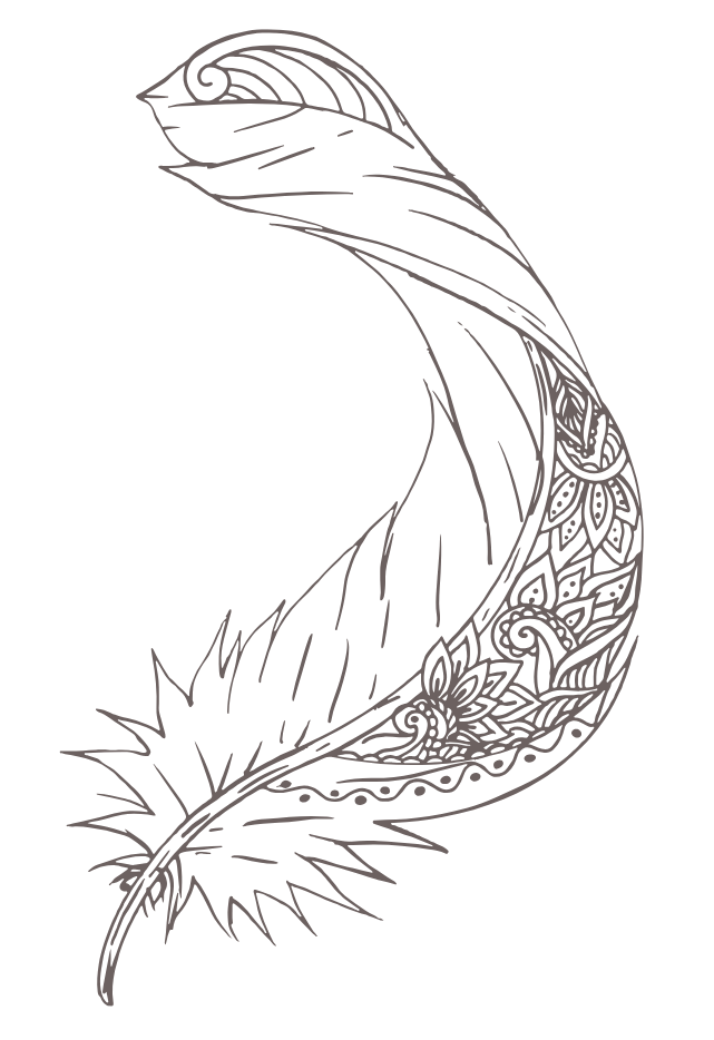 Detailed pen and ink drawing of a curved feather with ornate floral and geometric patterns.