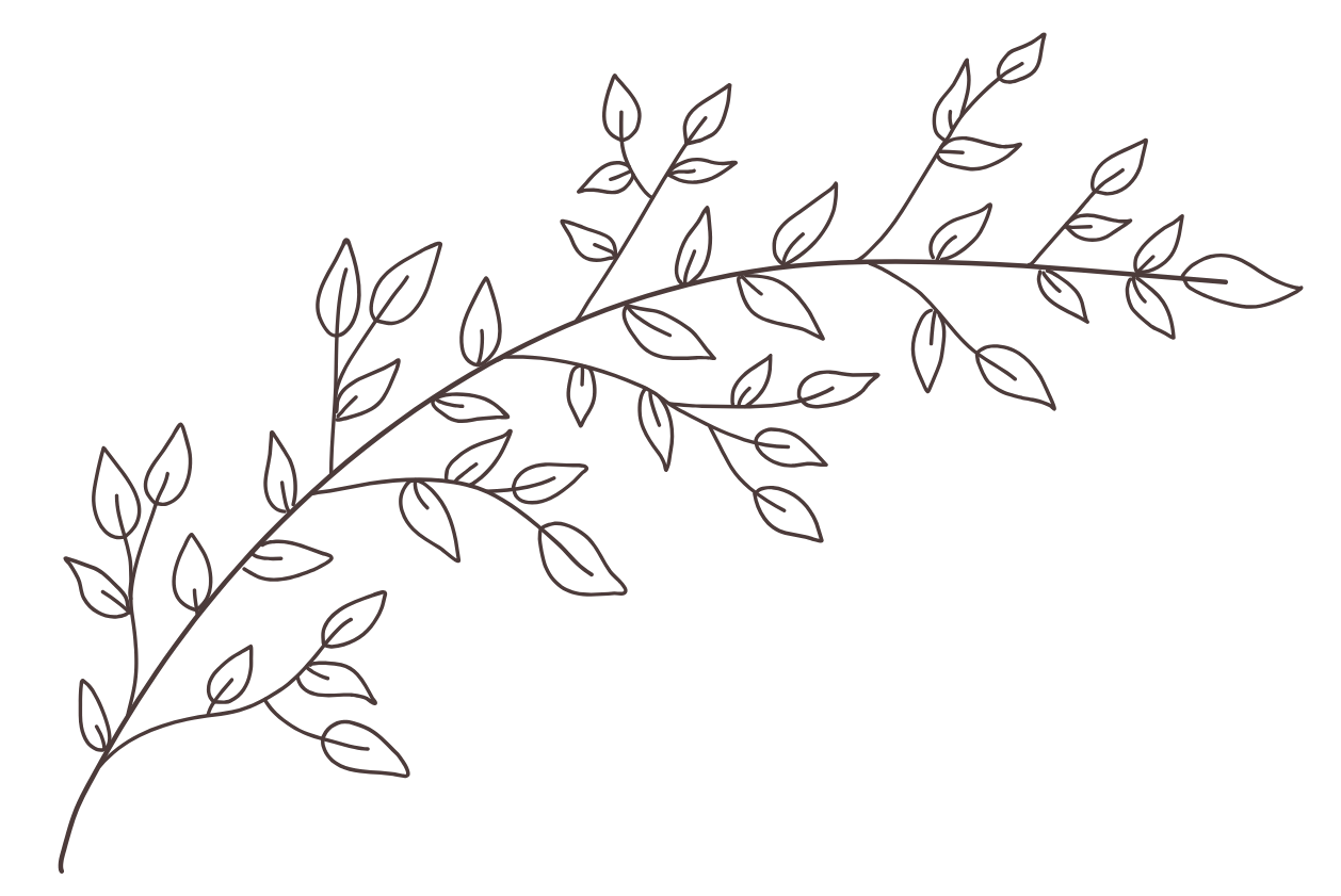 Branch with numerous small leaves, outlined in brown, arranged diagonally.