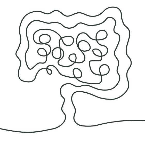 Line drawing of the human large intestine, with a convoluted pattern inside.