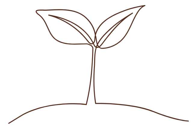 Brown line drawing of a sprout with two leaves growing out of the soil.