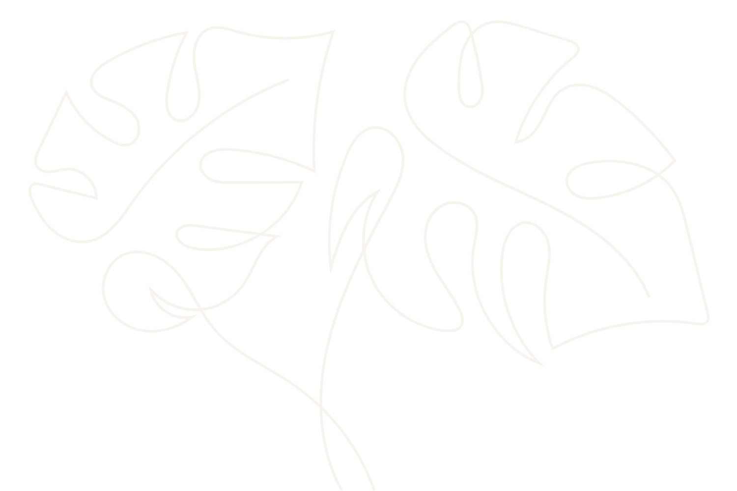 Outline of monstera leaves in light gold on white background.