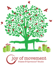 Joy of Movement Gyrotonic and Pilates Studio