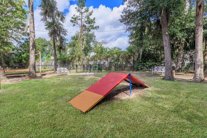 Dog agility course with ramp on a grassy lawn, surrounded by trees.