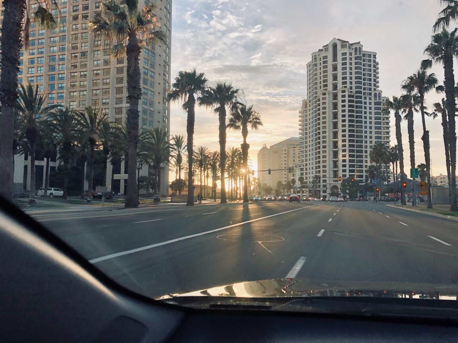 Road view with palm trees and buildings, bathed in sunlight.