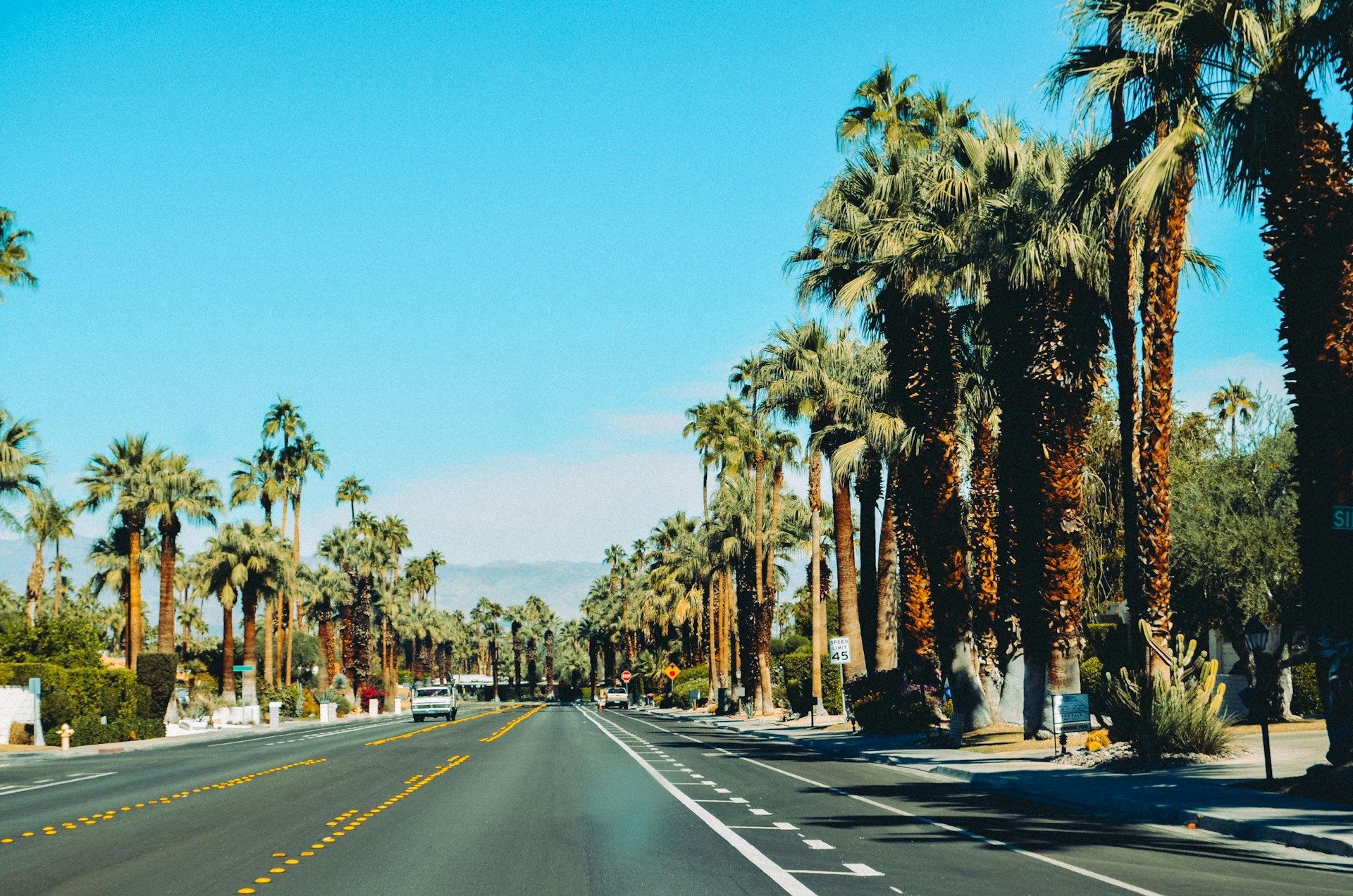 Road lined with tall palm trees under a bright blue sky, likely in a desert setting.