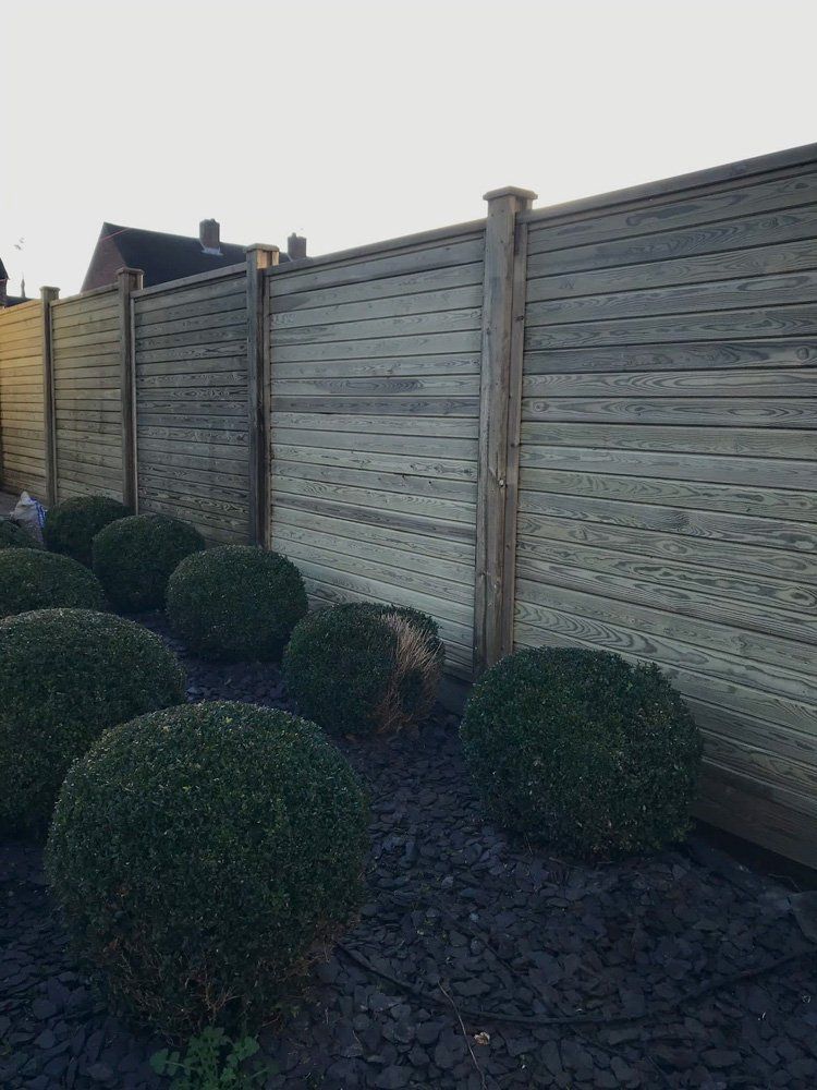 topiary in foreground with fencing behind