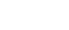 Digital Presence Logo - Web Design Christchurch