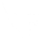 A yellow horse with wings on a white background