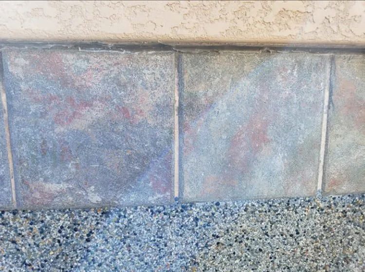 color-restoring pool surface cleaner