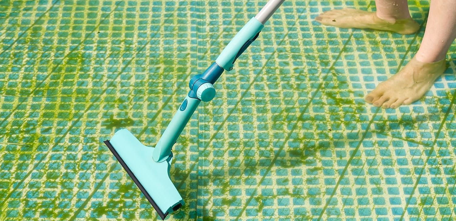 how to get rid of pool algae