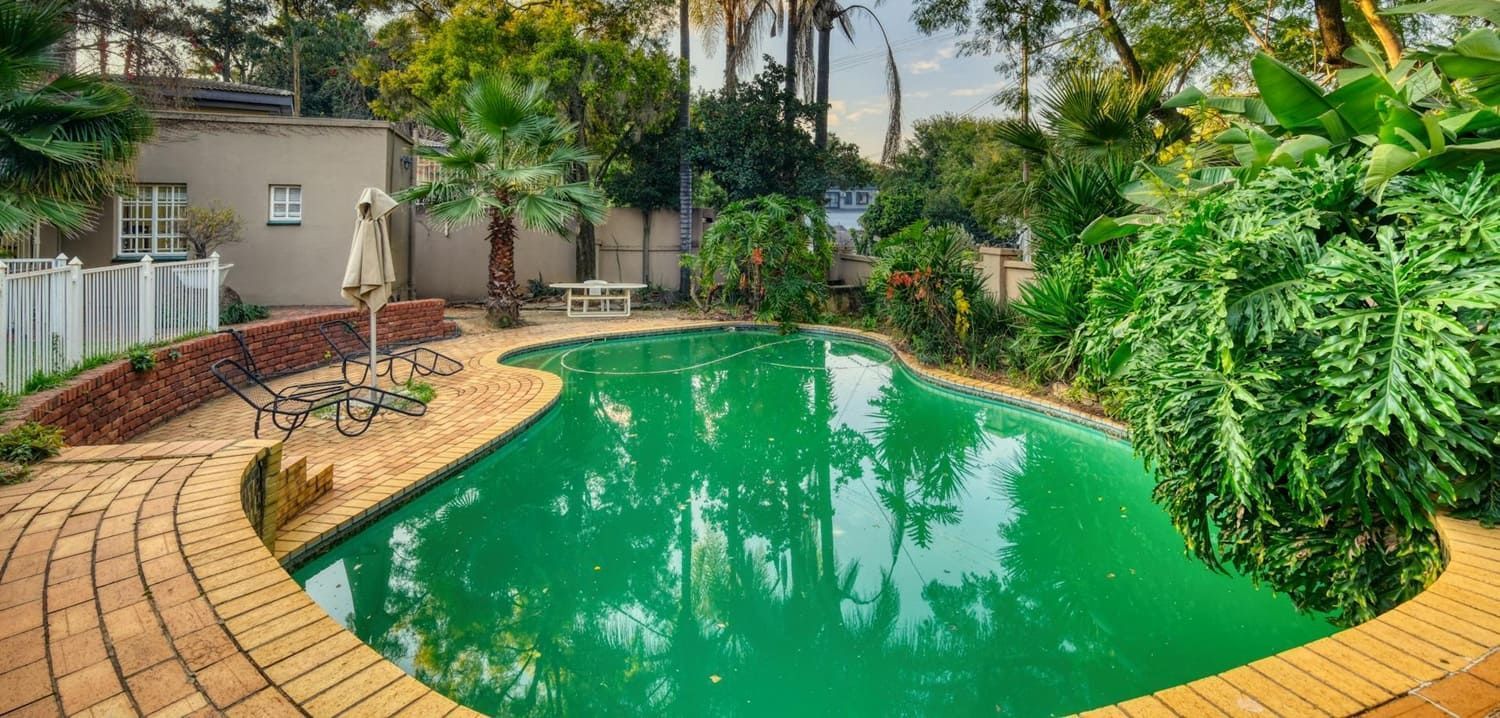 remove algae from pool