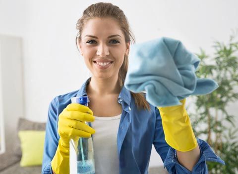 Kitchen Cleaning — A Woman Holding A Spray And Rug In Rockledge, FL