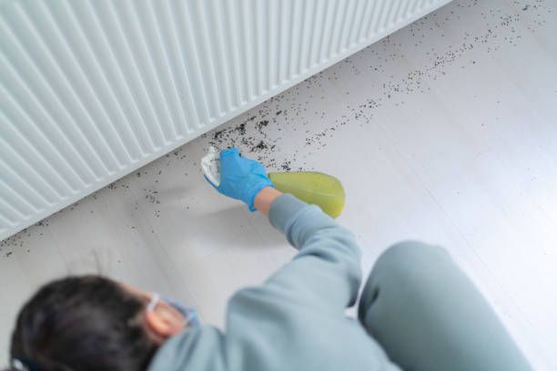 A person is cleaning a wall with a spray bottle.