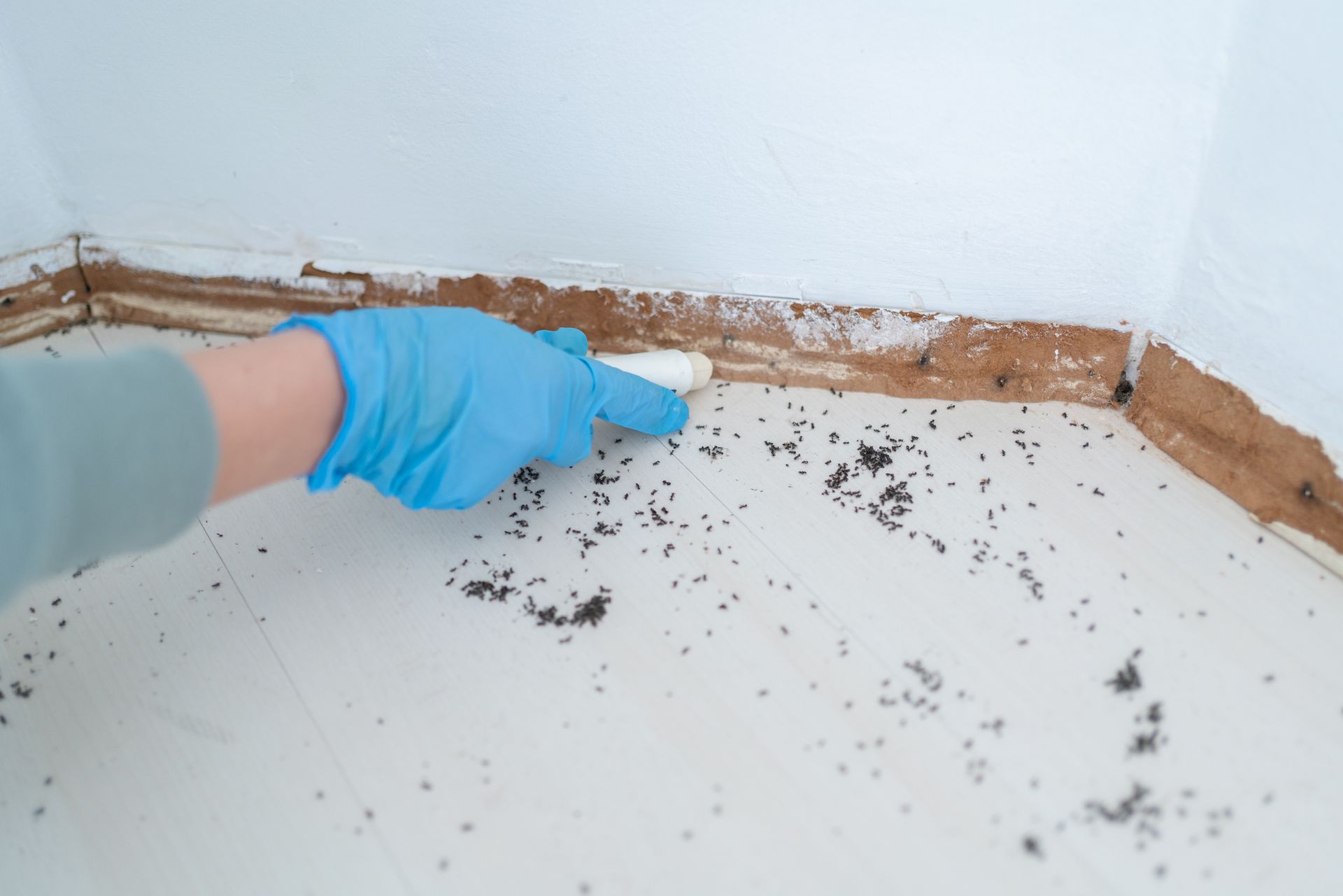 A person wearing blue gloves is cleaning a corner of a room with a brush.