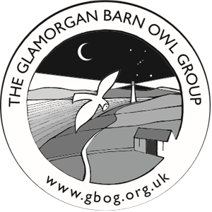 the glamorgan barn owl group logo