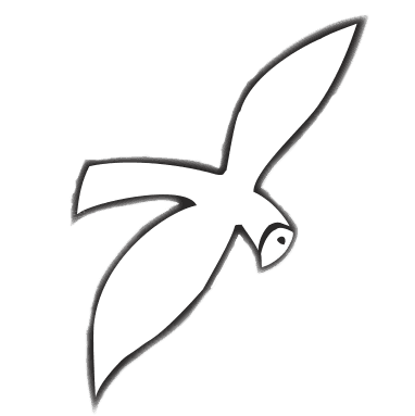 line drawn bird
