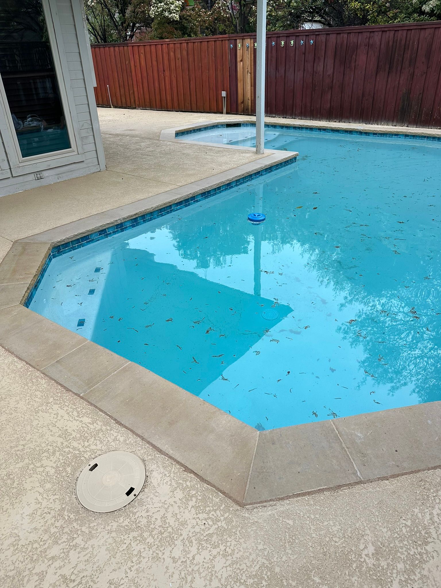 A backyard swimming pool with a concrete deck, surrounded by a wooden fence. The pool water is blue.