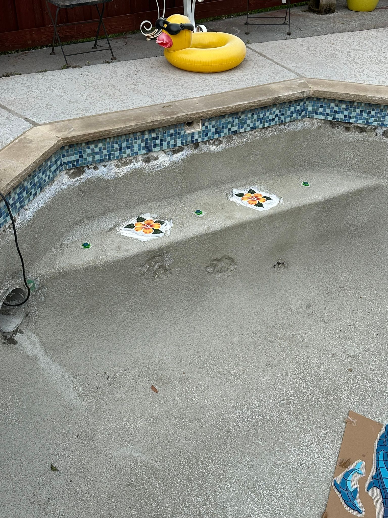 Empty concrete pool with duck-shaped float and mosaic tiles at the bottom.