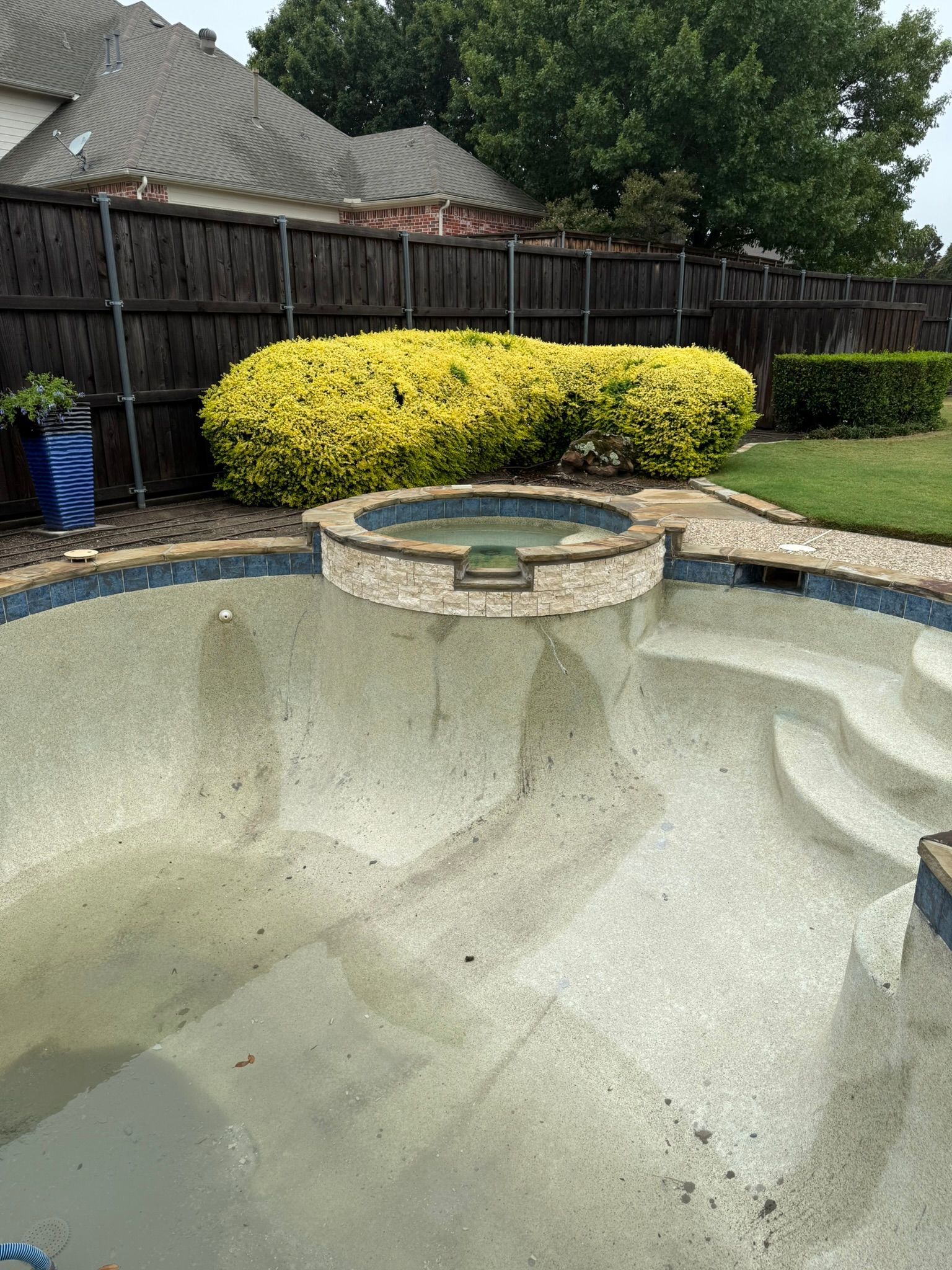 Empty pool with a circular hot tub and green bushes in a backyard with a wooden fence.