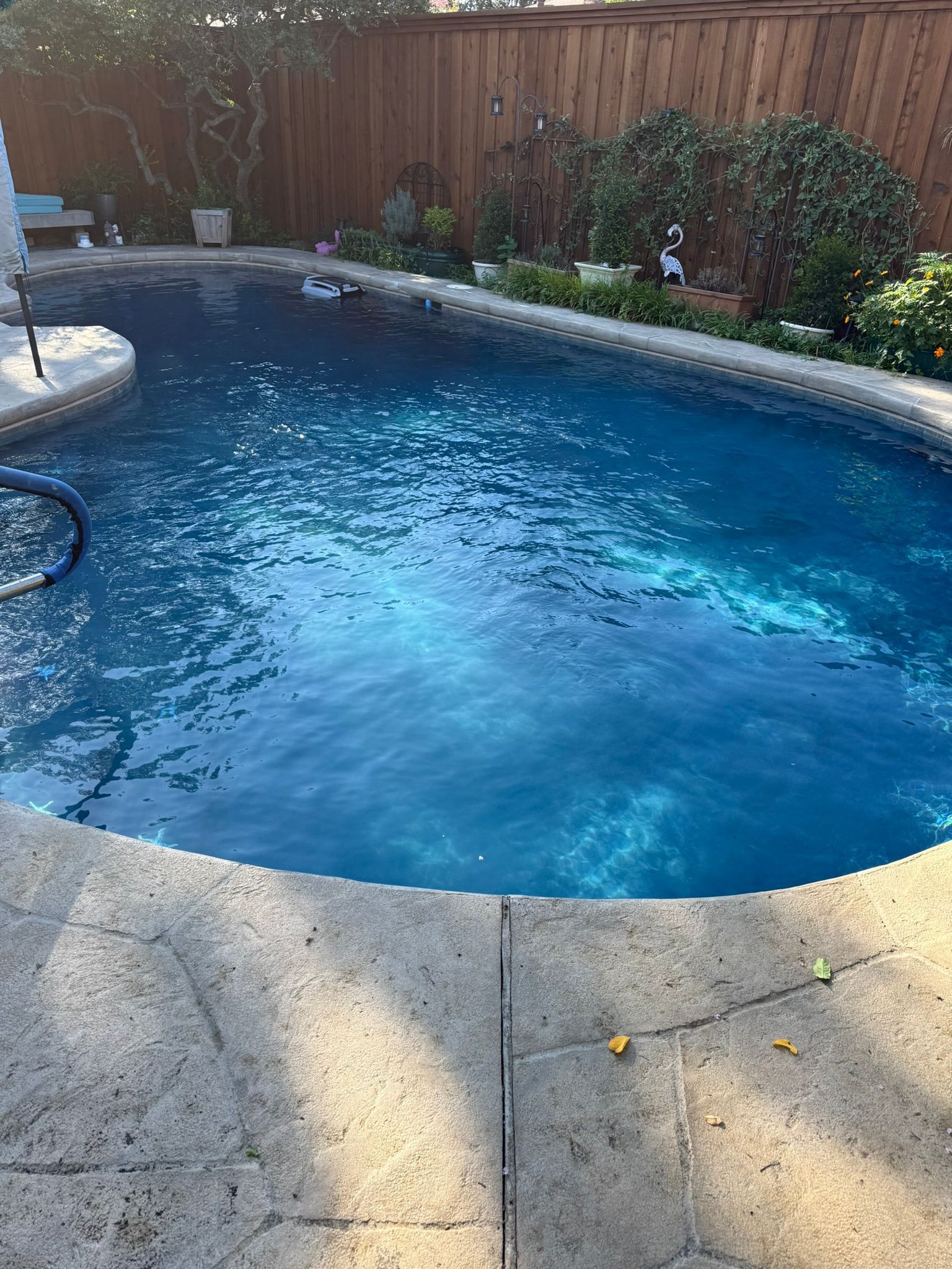A blue swimming pool surrounded by a stone patio. A wooden fence and foliage are in the background.