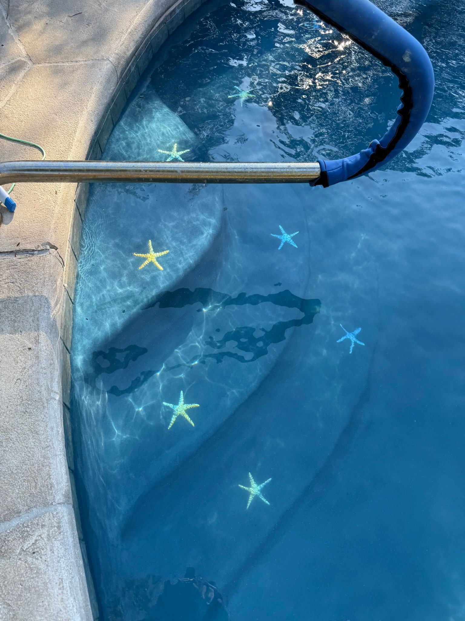 Pool steps with starfish decorations in blue water, a metal and blue handrail.