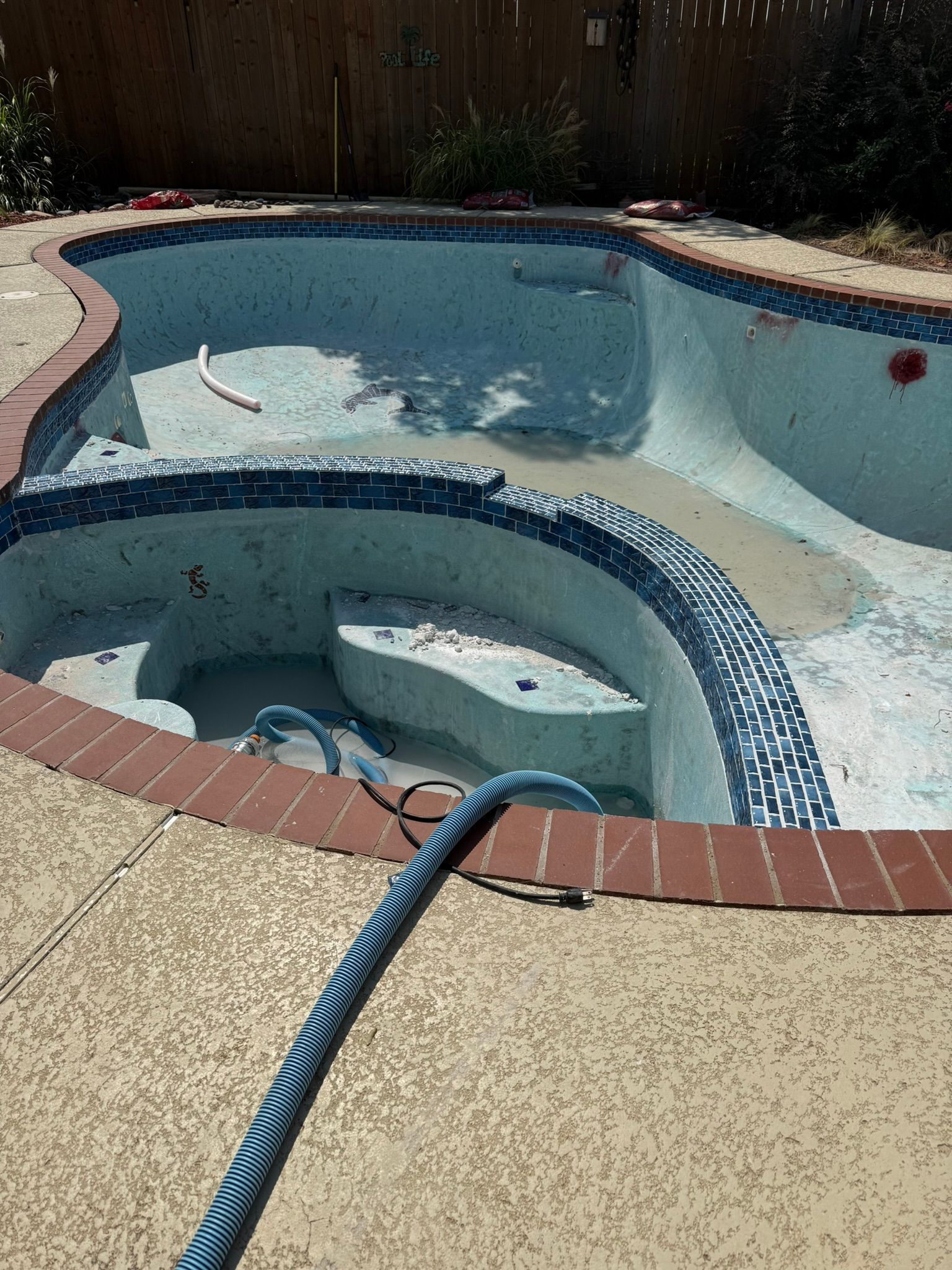 Empty swimming pool with blue and white tile, red brick border, and concrete deck. A blue hose is present.