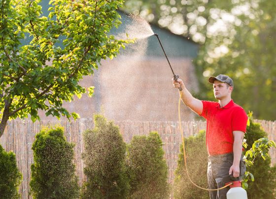 Man Spraying Pesticide — Mansfield, TX — Organic Pest Services