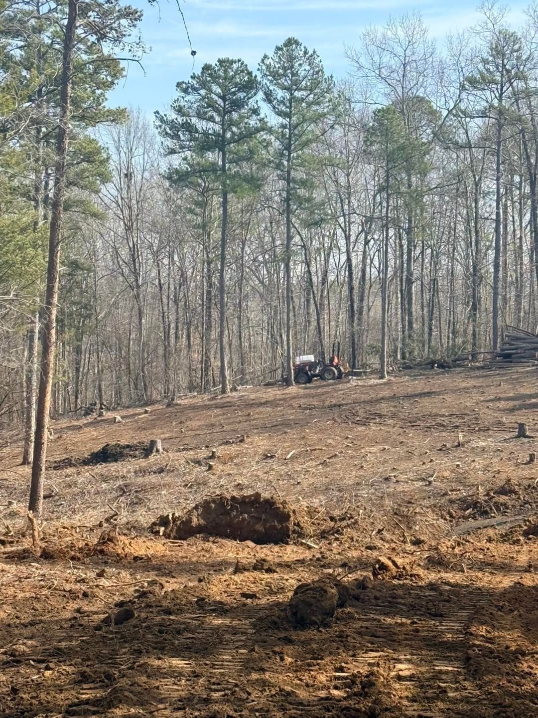 landrum land clearing