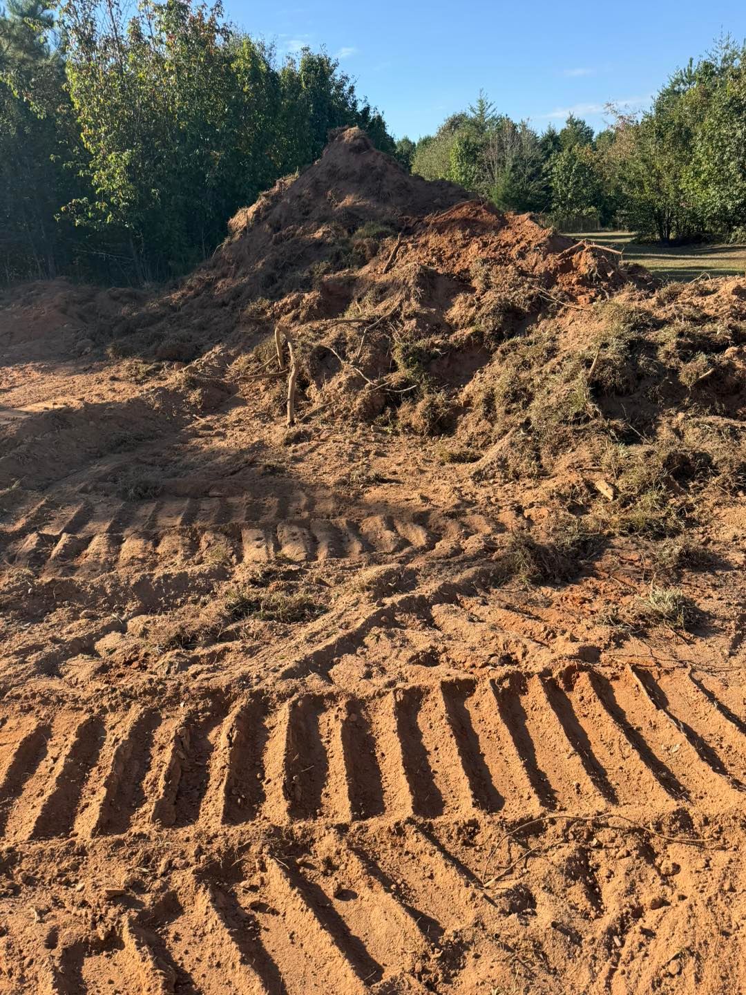 land clearing spartanburg