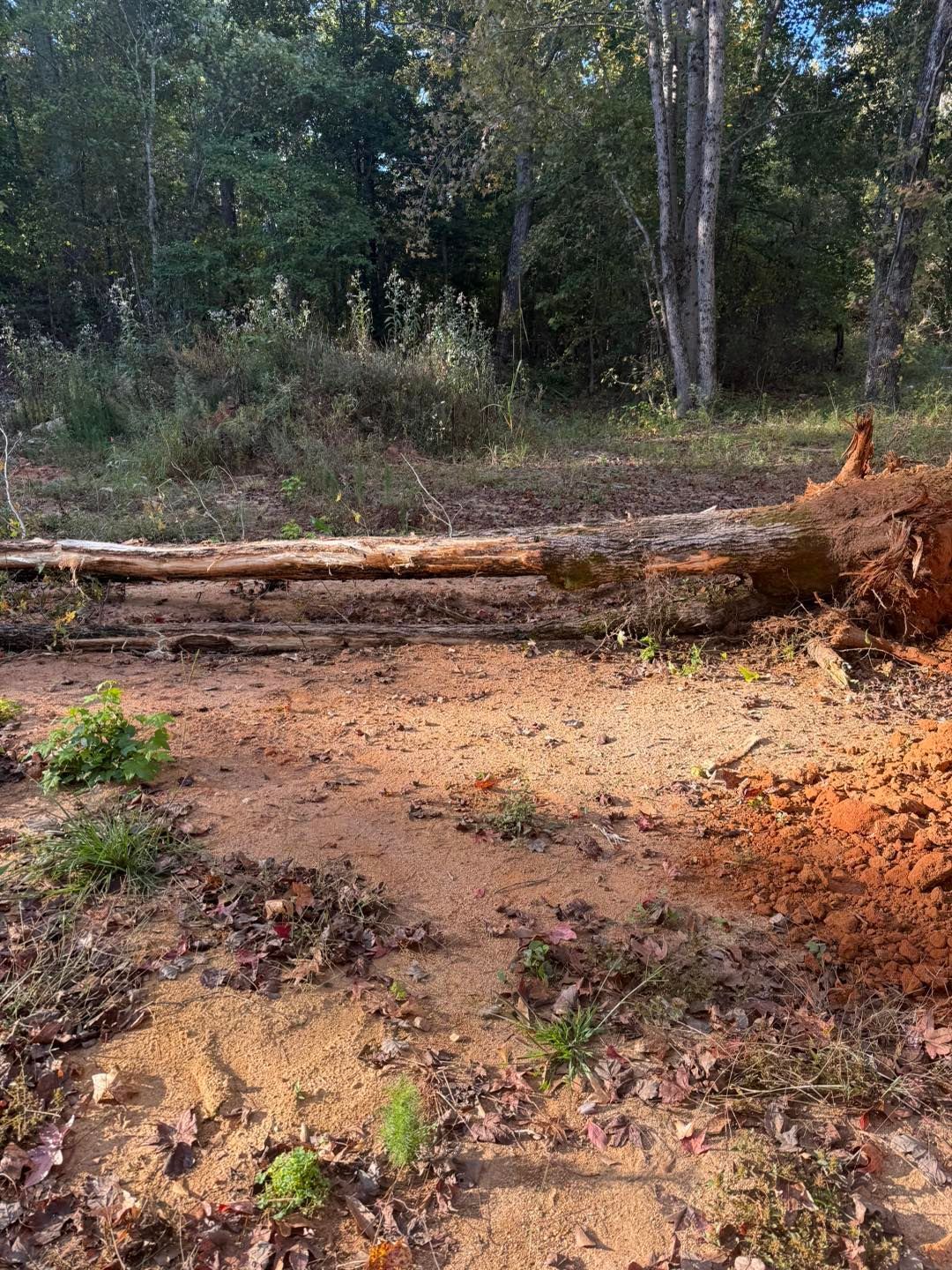 land clearing contractor near me