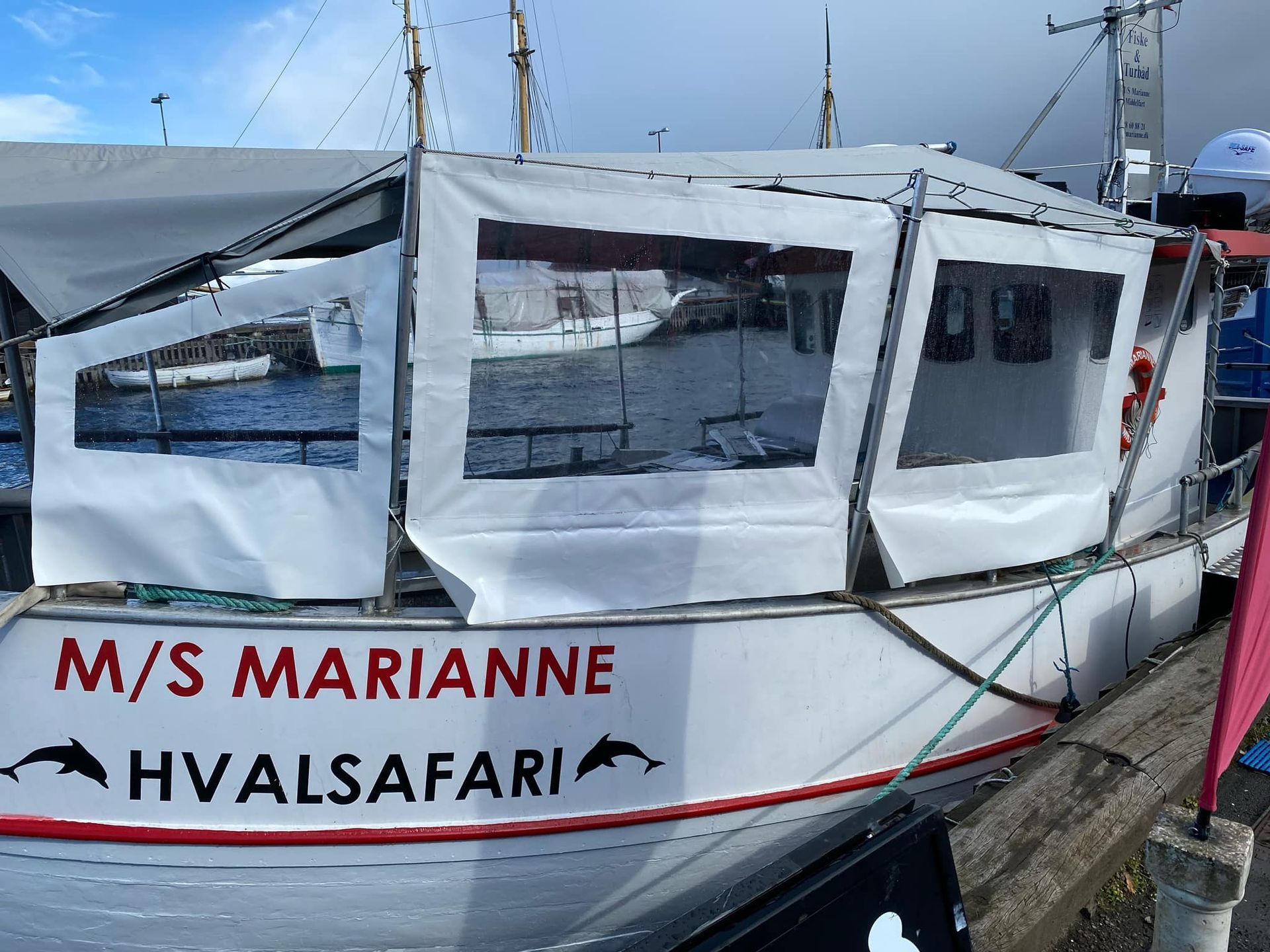 MS-Marianne-Middelfart-bruinvissen-spotten